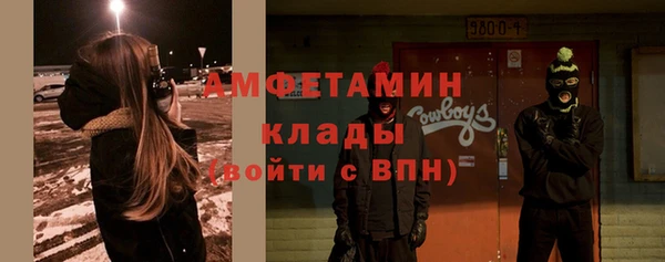 прущие грибы Абаза