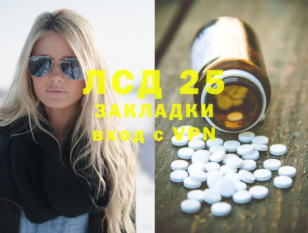 прущие грибы Абаза