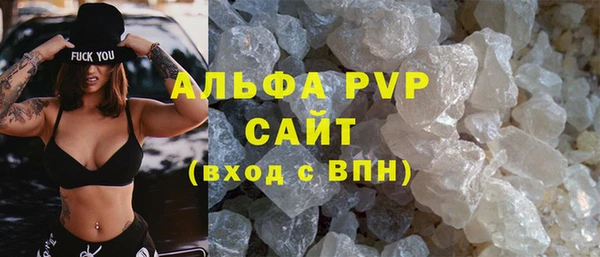 прущие грибы Абаза