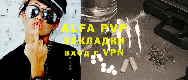 прущие грибы Абаза