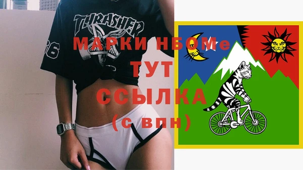 прущие грибы Абаза